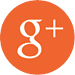 GOOGLE+ ICON
