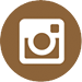 INSTAGRAM ICON